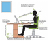 Grafik Ergonomie Rücken