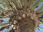 Inhaltsbild Inhaltsbild