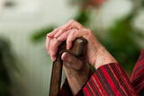 Copyright: Gina Sanders - Fotolia